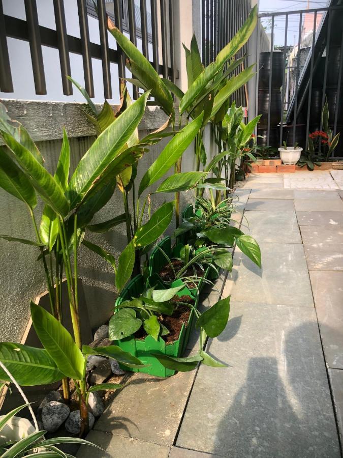 Homestay Phuong House ホイアン エクステリア 写真