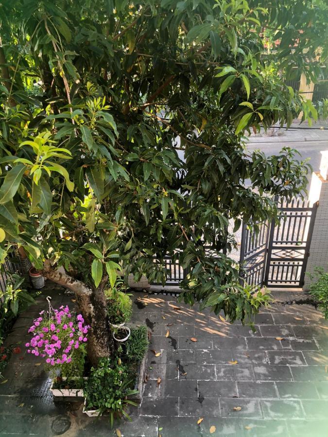 Homestay Phuong House ホイアン エクステリア 写真